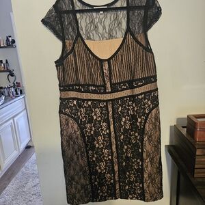 Black Lace Overlay Dress